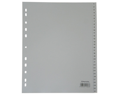 Soennecken PP-Register A4 überbreit, 1-31 grau 245 x 297 mm