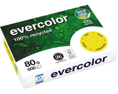 Clairefontaine Kopierpapier A4 "Evercolor" zitronengelb 80g/m² 500Bl.