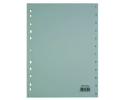 Soennecken PP-Register A4, 1-12 grau 225 x 297 mm