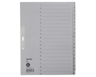 Leitz Tauen-Register A4, 1-20, überbreit grau 240 x 300 mm