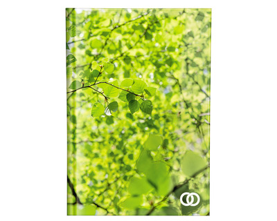 Soennecken Notizbuch A4 "Oeco", Recyclingpapier grün liniert 96Bl.