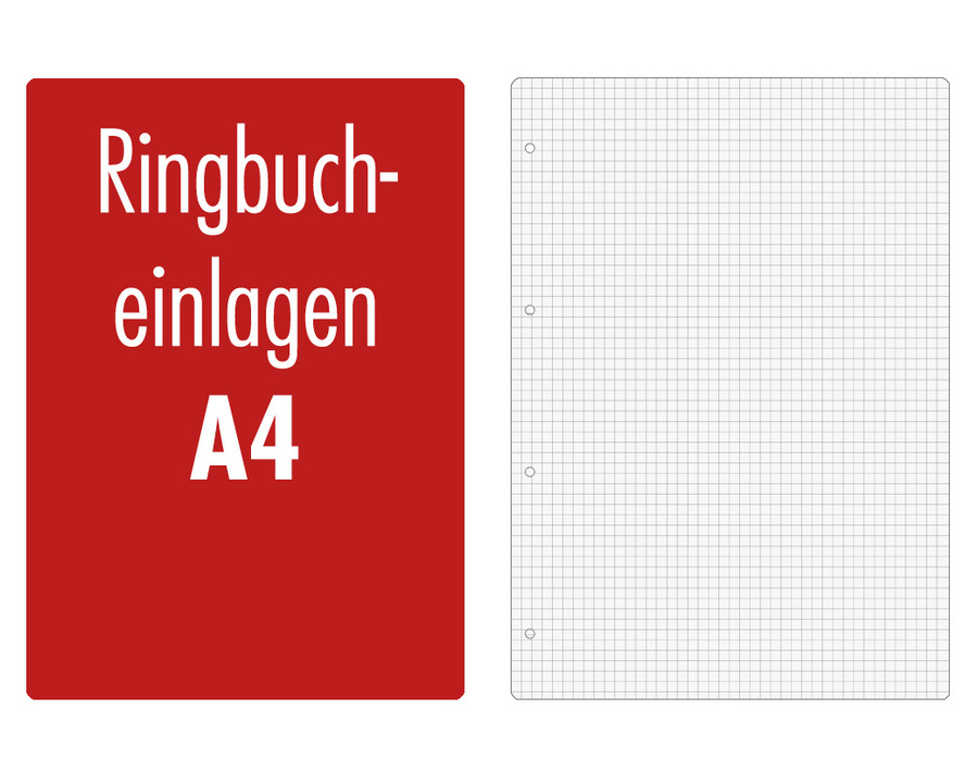 Ringbucheinlagen A4 weiß kariert (Lineatur 22) 50Bl.