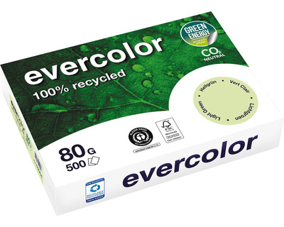 Clairefontaine Kopierpapier A4 "Evercolor" hellgrün 80g/m² 500Bl.