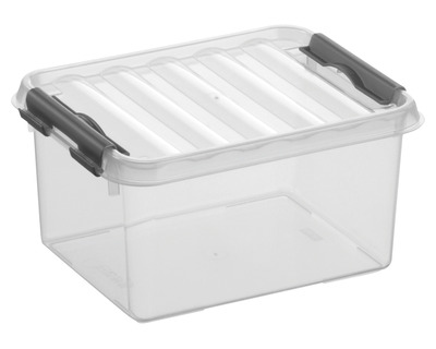 Sunware Aufbewahrungsbox "the q-line" 2 Liter transparent 15 x 10 x 20 cm