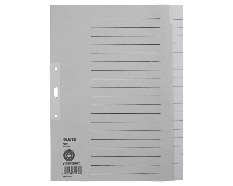 Leitz Tauen-Register A4, 20-teilig blanko, überbreit grau 240 x 300 mm