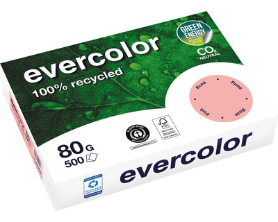 Clairefontaine Kopierpapier A4 "Evercolor" rosa 80g/m² 500Bl.