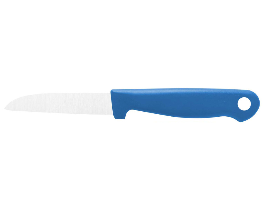 Gemüsemesser silber/blau