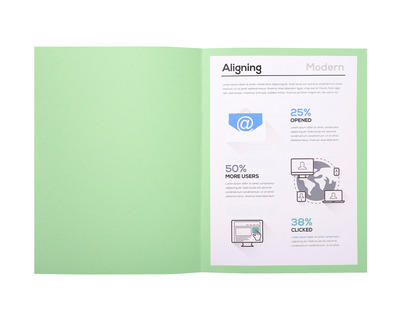 Exacompta Aktendeckel A4 "Foldyne 250" lindgrün 220g/m² 100St.
