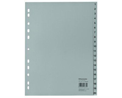 Soennecken PP-Register A4, 1-20 grau 225 x 297 mm
