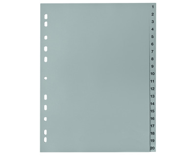 PP-Register A4, 1-20 grau 225 x 297 mm