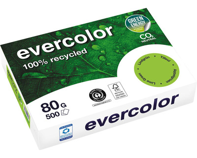 Clairefontaine Kopierpapier A4 "Evercolor" lindgrün 80g/m² 500Bl.