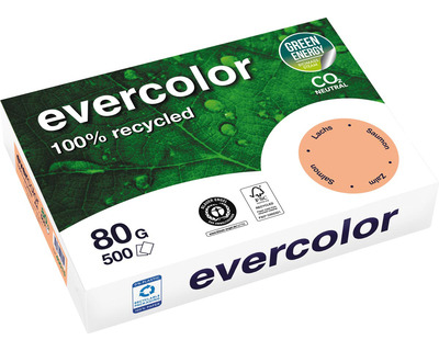 Clairefontaine Kopierpapier A4 "Evercolor" lachs 80g/m² 500Bl.