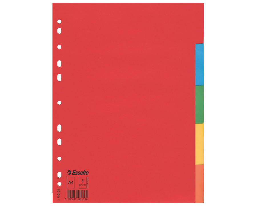 Esselte Karton-Register A4 "Eco", 5-teilig blanko mehrfarbig 225 x 297 mm